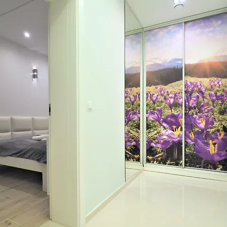 Gorace Zrodla Centrum Apartment