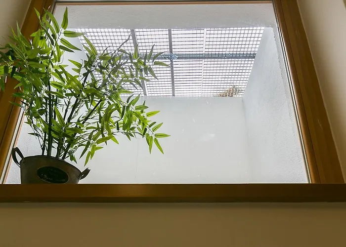 Lägenhet Gorace Zrodla Centrum