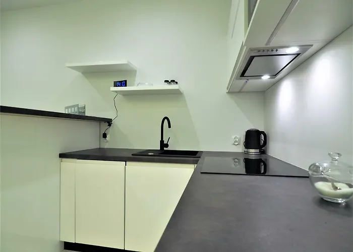 Gorace Zrodla Centrum Lägenhet Zakopane